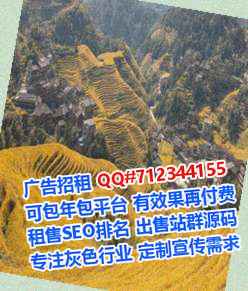 西夏助孕融资租赁经营部